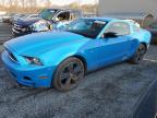 2013 Ford Mustang  for Sale in Spartanburg, SC - Side