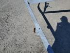2012 'Other Boat' Other იყიდება Lumberton-ში, NC - All Over