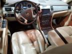 2010 Cadillac Escalade Premium de vânzare în Billings, MT - Front End