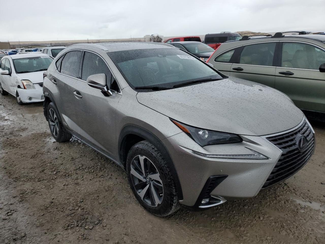 2021 Lexus NX - Image 4