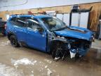 2023 Subaru Forester Wilderness იყიდება Kincheloe-ში, MI - All Over