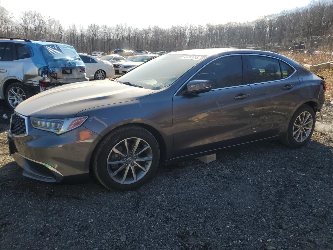 2020 Acura TLX - Image 1