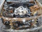 2023 Dodge Charger R/T for Sale in Portland, OR - Burn