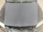 2006 Acura 3.2Tl  for Sale in Lexington, KY - All Over