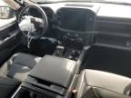 New Orleans, LA에서 판매 중인 2024 Ford F150 Xlt - Side