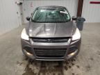 2014 Ford Escape Se للبيع في Windham، ME - Top/Roof