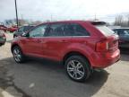 2011 Ford Edge Limited en Venta en Fort Wayne, IN - Rear End