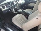 2013 Ford Mustang  zu verkaufen in Gastonia, NC - All Over