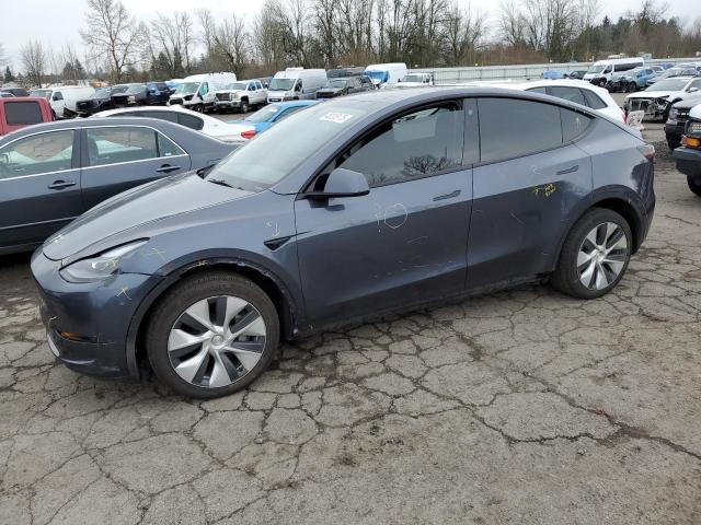  TESLA MODEL Y 2023 Серый