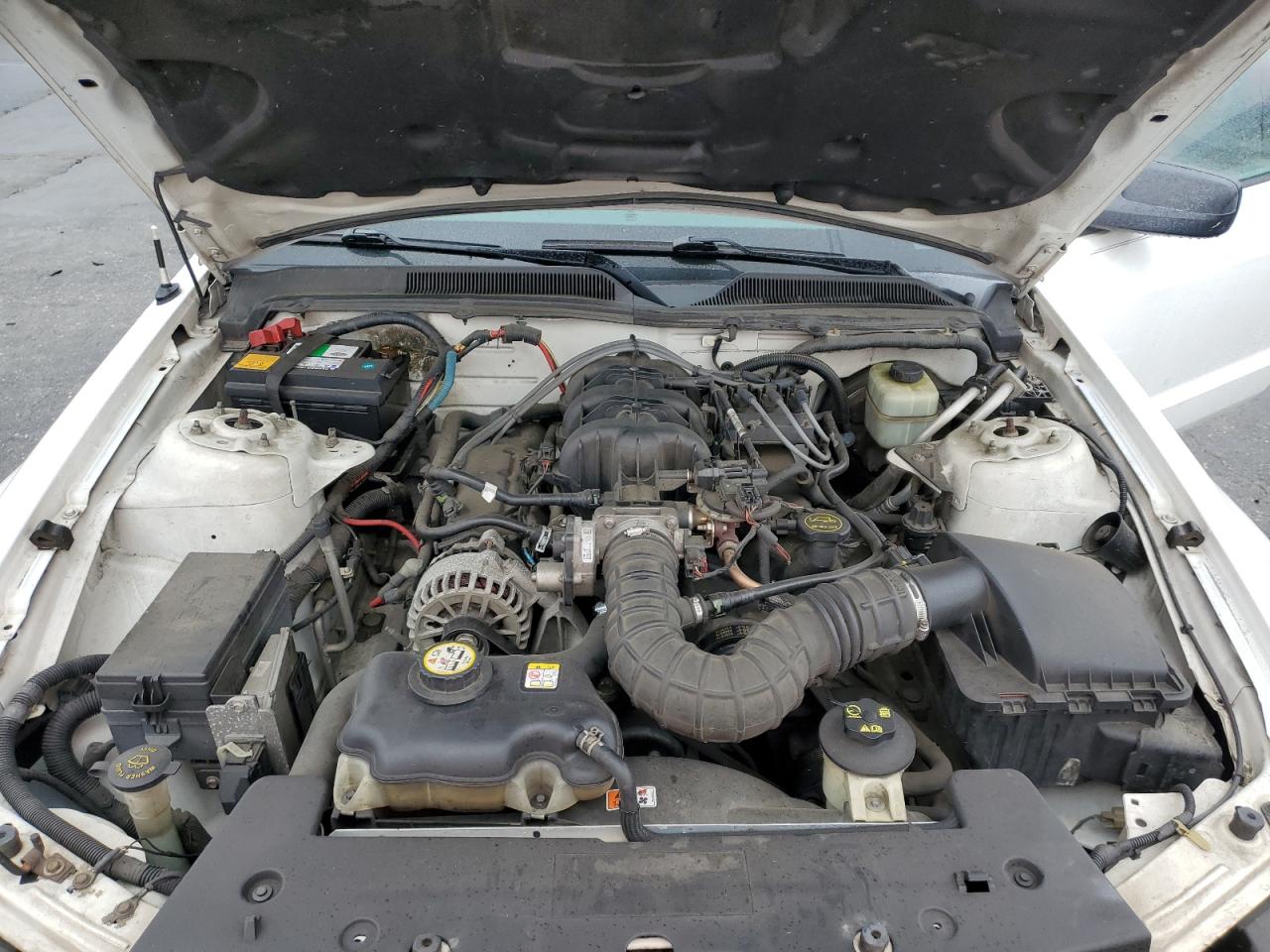 2006 Ford Mustang - Image 12