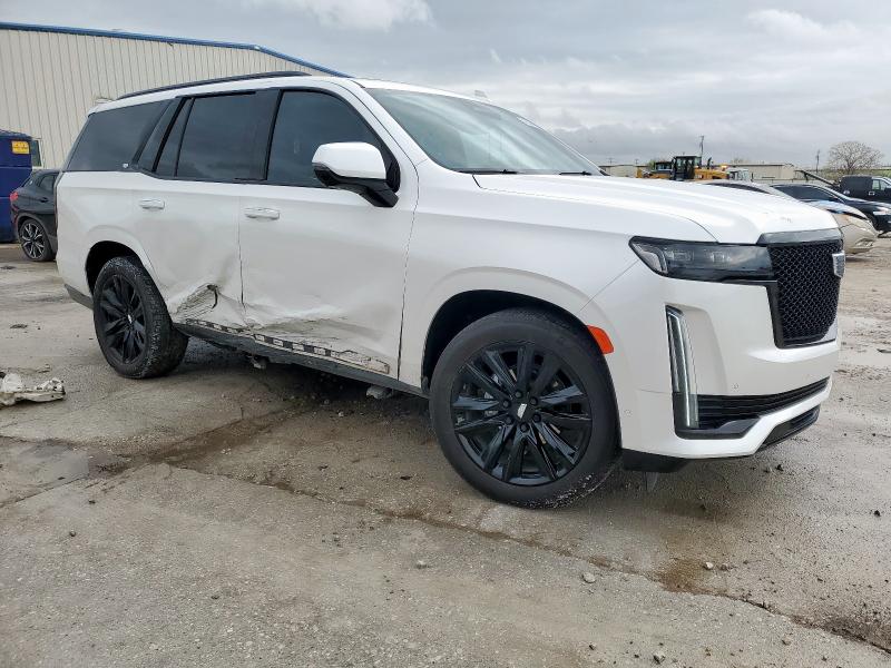 CADILLAC ESCALADE 2024 Biały