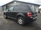2011 Ford Escape Xlt იყიდება East Granby-ში, CT - Front End