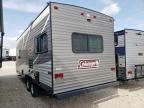 2019 Coleman Travel Tra en Venta en Haslet, TX - Hail