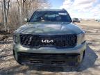 2024 Kia Telluride Ex за продажба в Cicero, IN - Side