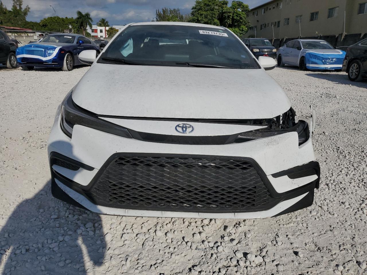 2024 Toyota Corolla - Image 5