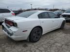 2011 Dodge Charger Police en Venta en Indianapolis, IN - Rear End
