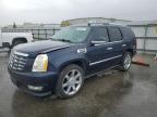 2009 Cadillac Escalade Hybrid for Sale in Bakersfield, CA - Minor Dent/Scratches