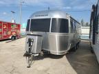 2021 Airstream Flying Clo продається в Elgin, IL - Hail