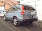 2008 HONDA CR-V EXL à vendre chez Copart FL - TAMPA SOUTH