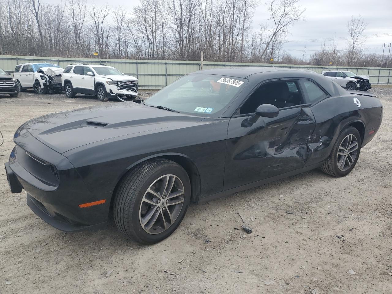 2019 Dodge Challenger Sxt for Sale in Leroy, NY - Side