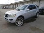 2006 Mercedes-Benz Ml 500 на продаже в Louisville, KY - Water/Flood