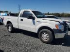 2010 Ford F150  for Sale in Riverview, FL - All Over