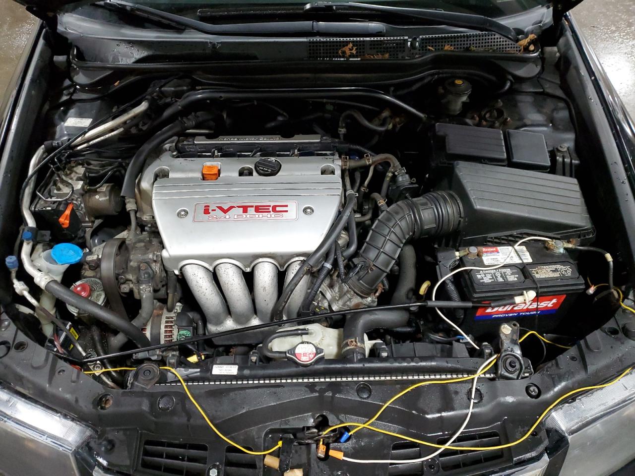 2006 Acura Tsx VIN: JH4CL96966C031631 Lot: 49187265