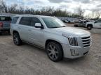 2016 Cadillac Escalade Premium for Sale in Oklahoma City, OK - Side