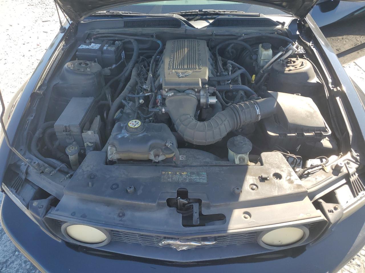 2009 Ford Mustang - Image 11
