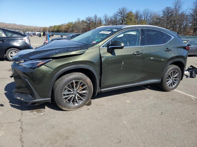  LEXUS NX 350H BA 2024 Зеленый