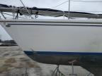 1997 Cata Sailboat for Sale in Harleyville, SC - Water/Flood