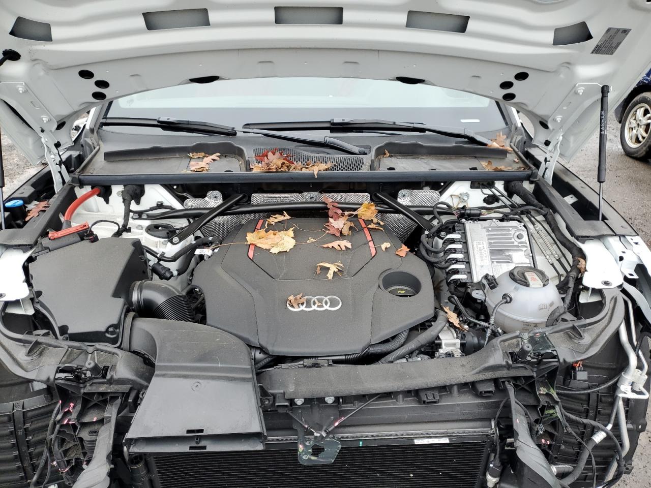 2024 Audi SQ5 Sportback - Image 12
