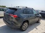2019 Toyota Rav4 Xle Premium იყიდება Taylor-ში, TX - Hail