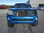 2006 Toyota Tacoma Access Cab for Sale in Reno, NV - Front End