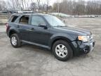 2012 Ford Escape Limited en Venta en Marlboro, NY - Front End