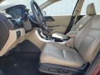 2013 Honda Accord Exl for Sale in Riverview, FL - Side