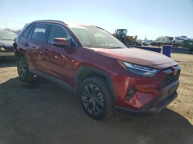  TOYOTA RAV4 2024 Czerwony