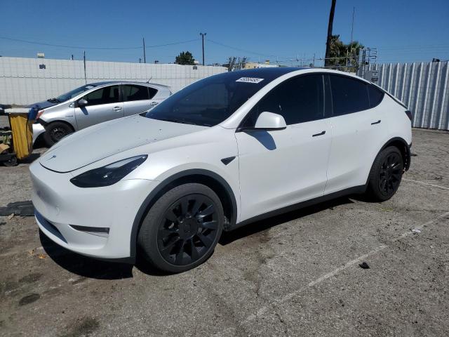  TESLA MODEL Y 2023 Белый