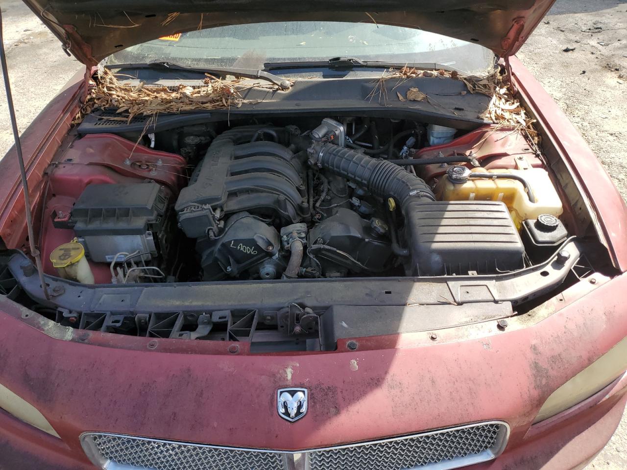 2006 Dodge Charger Se VIN: 2B3KA43R06H393530 Lot: 50746665