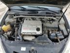 2002 Lexus Es 300 за продажба в Louisville, KY - Hail