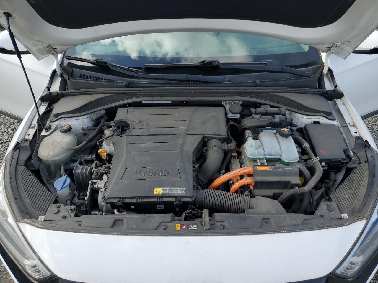 2017 Hyundai IONIQ - Image 13