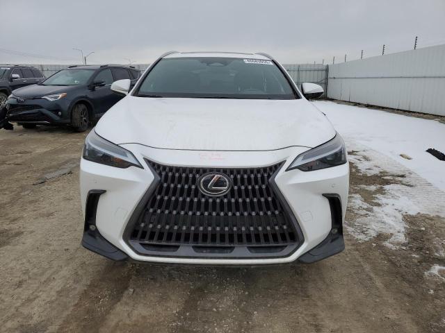  LEXUS NX 350 2023 Biały