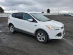 Airway Heights, WA에서 판매 중인 2013 Ford Escape Se - Front End