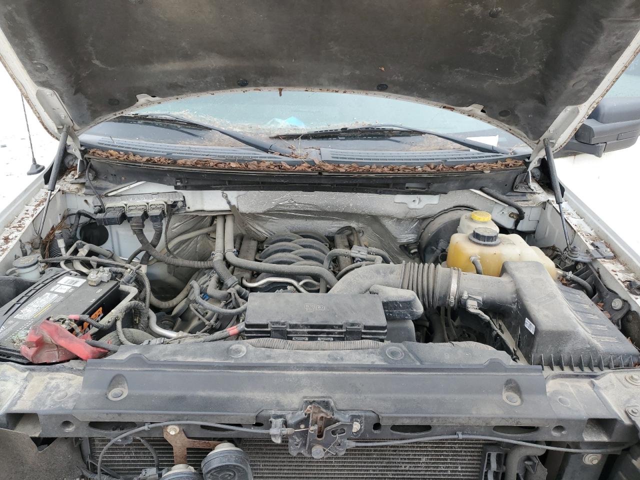 2014 Ford F-150 - Image 11