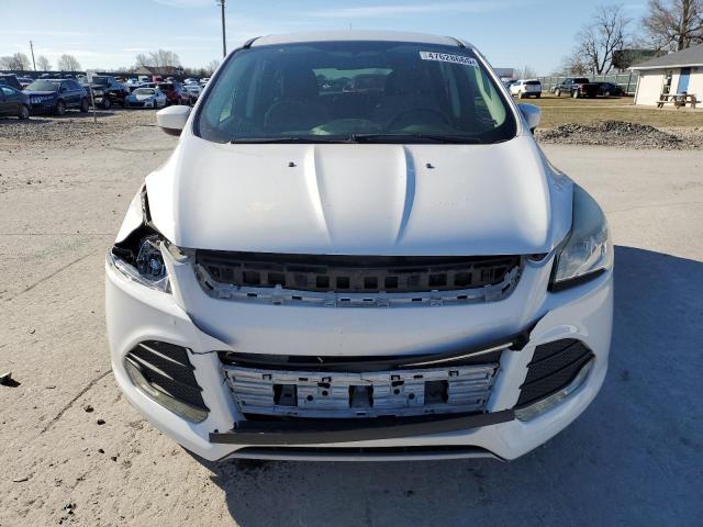 Паркетники FORD ESCAPE 2014 Белый