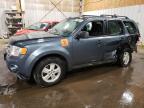 1FMCU9D78AK****** Salvage and Wrecked 2010 Ford Escape in AK - Anchorage