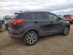Brighton, CO에서 판매 중인 2014 Kia Sportage Base - Hail