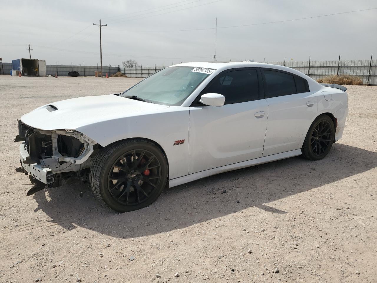 2015 Dodge Charger R/T Scat Pack იყიდება Andrews-ში, TX - Front End