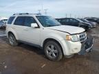 2010 Ford Escape Limited for Sale in Elgin, IL - Front End