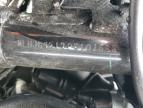 2023 HONDA GROM 125   for sale at Copart CA - RANCHO CUCAMONGA